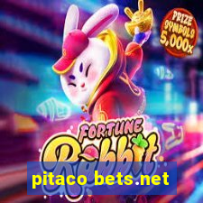 pitaco bets.net